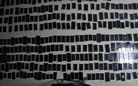 吉林靖宇公安抓获12名电诈嫌疑人，扣押手机400余部